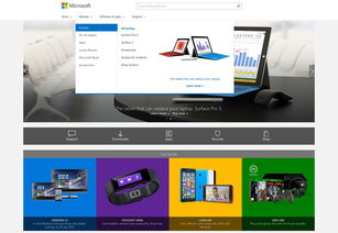 新聞 網(wǎng)博思創(chuàng) 北京網(wǎng)站設計